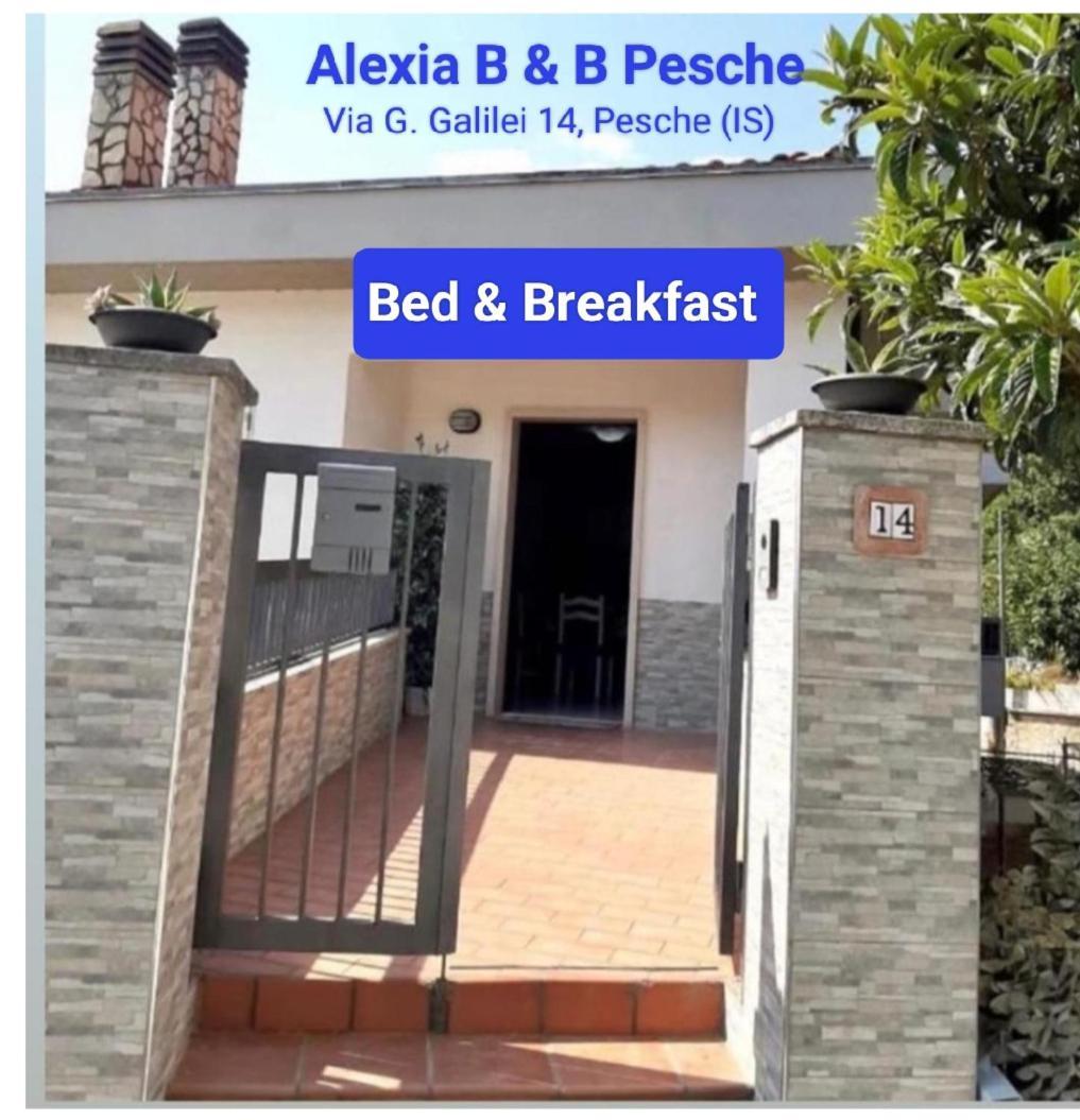 Alexia B&B Pesche Zewnętrze zdjęcie